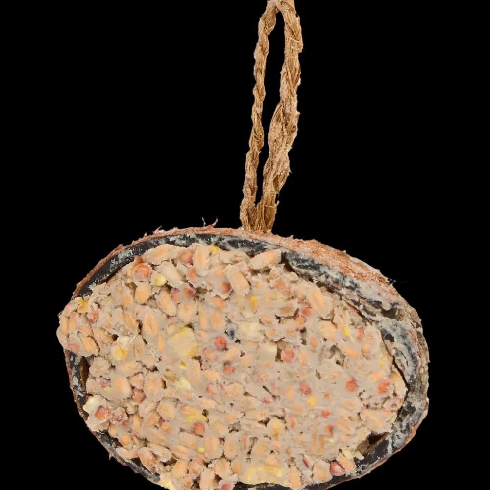 Dierenvoeding*Bites for Birds gevulde kokosnoot | Action NL