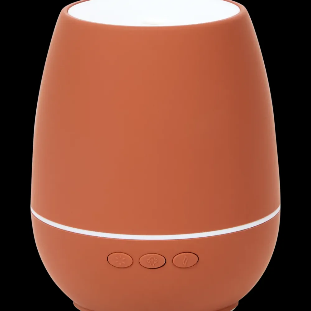 Woonaccessoires* Diffuser | Action NL