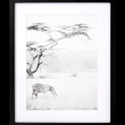 Fotolijstjes* Fotolijst Texas 40 x 50 cm | Action NL