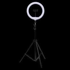 Lampen*Grundig XXL selfie ringlamp | Action NL