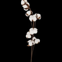 Kunstplanten & -Bloemen* Katoentak | Action NL