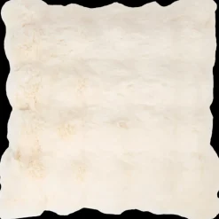 Kussens* Kussenhoes Maxime 45 x 45 cm | Action NL