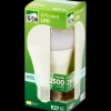 Verlichting*LSC ledlamp 17 watt 2500 lm | Action NL