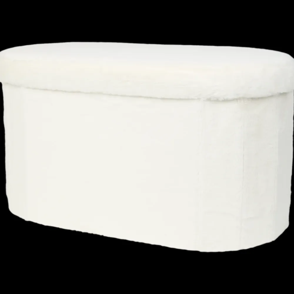 Woonaccessoires* Opbergpoef | Action NL