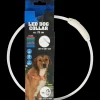 Dierenbenodigdheden* Oplaadbare led-halsband | Action NL