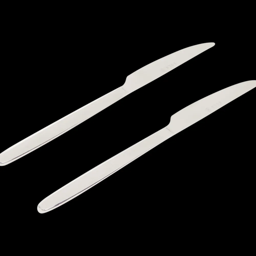 Bestek*Sola Ibiza messen Zilver 2 Stuks | Action NL