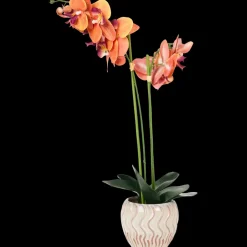 Kunstplanten & -Bloemen* The Hamptons Collections HOME orchidee in pot | Action NL