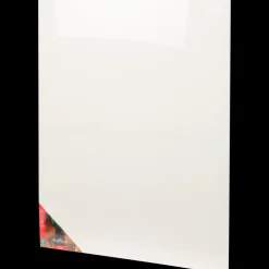 Schilderen*Van Bleiswijck canvas | Action NL