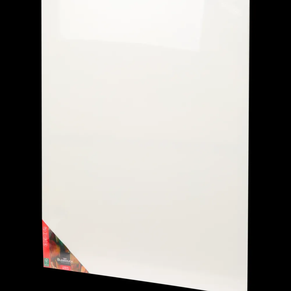 Schilderen*Van Bleiswijck canvas | Action NL