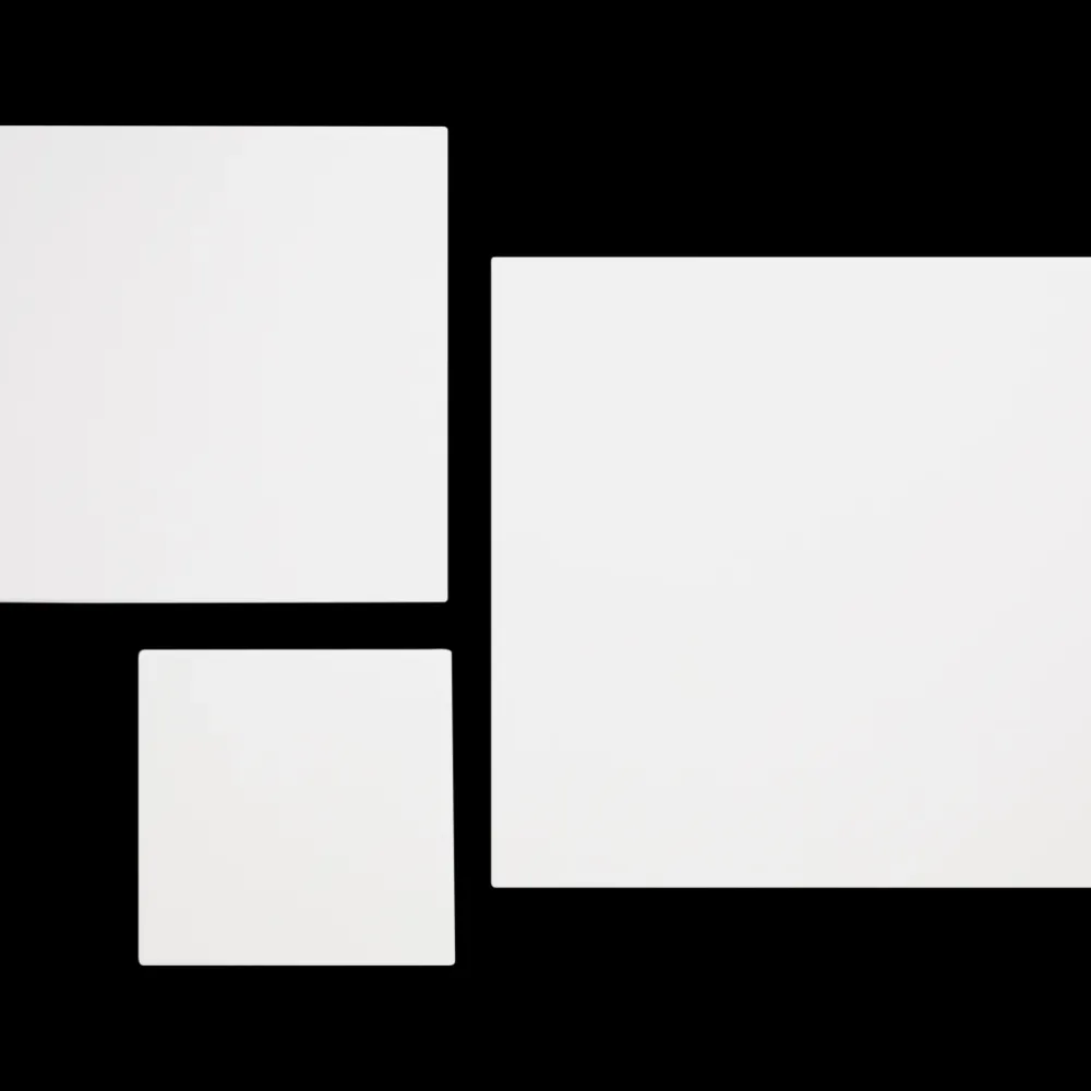 Schilderen*Van Bleiswijck canvassen | Action NL