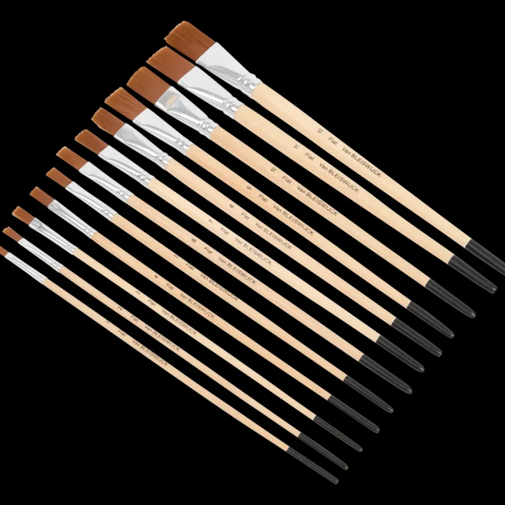 Schilderen*Van Bleiswijck penselenset | Action NL