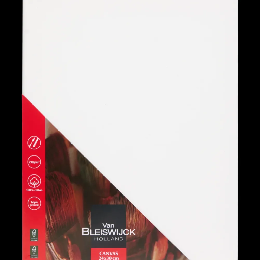 Schilderen*Van Bleiswijck schildersdoek | Action NL