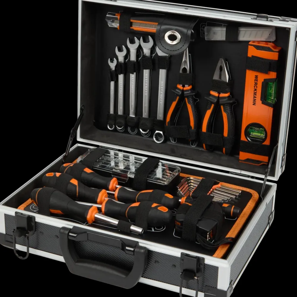 Gereedschap*Werckmann gereedschapsset | Action NL