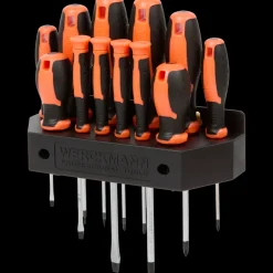 Gereedschap*Werckmann schroevendraaierset | Action NL